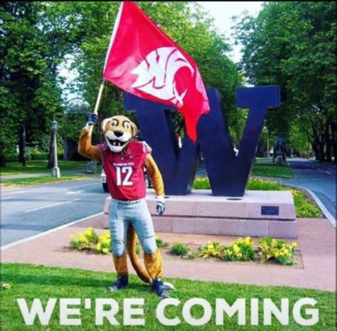 wsu go cougs|wsu cougars game today.